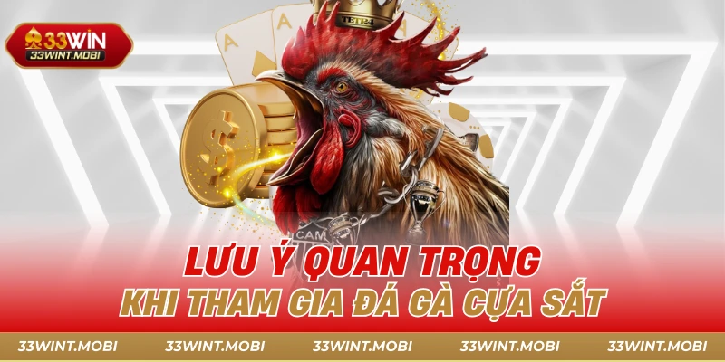 Lưu ý quan trọng khi tham gia đá gà cựa sắt